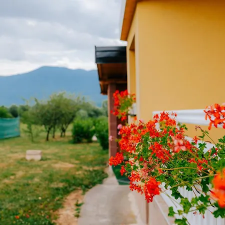 Laguna Royale Concept *