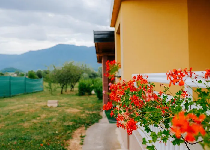 Laguna Royale Concept *